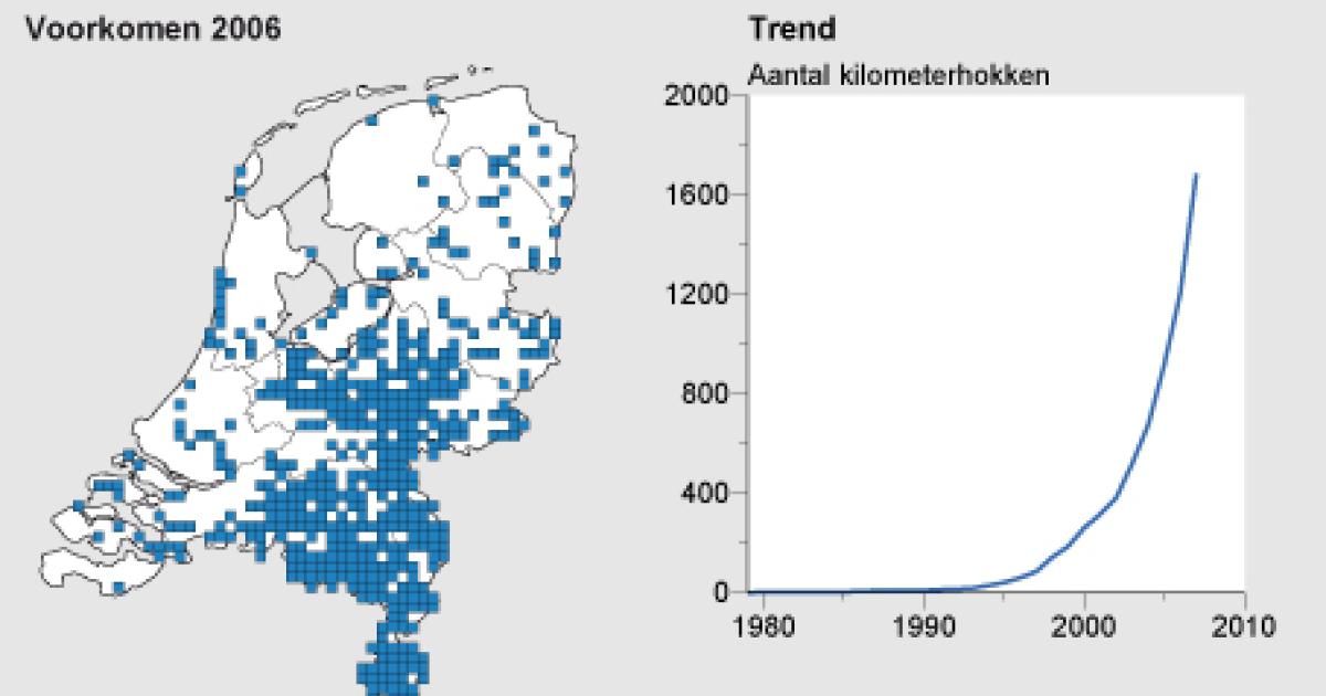 Wespenspin En Klimaatverandering 1979-2007 | Compendium Voor De ...